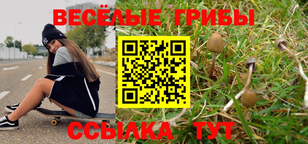 Миасс  Псилоцибиновые грибы мухоморы  где продают наркотики  Вход с VPN 
