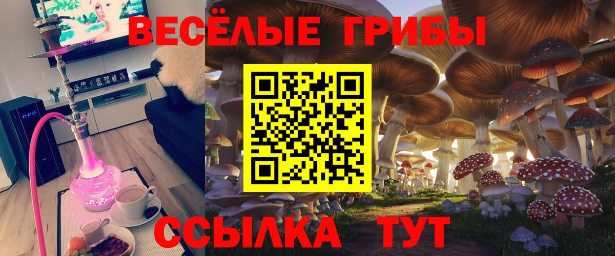 Галлюциногенные грибы Psilocybe Миасс